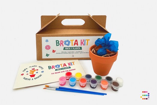 Brota kit ESP